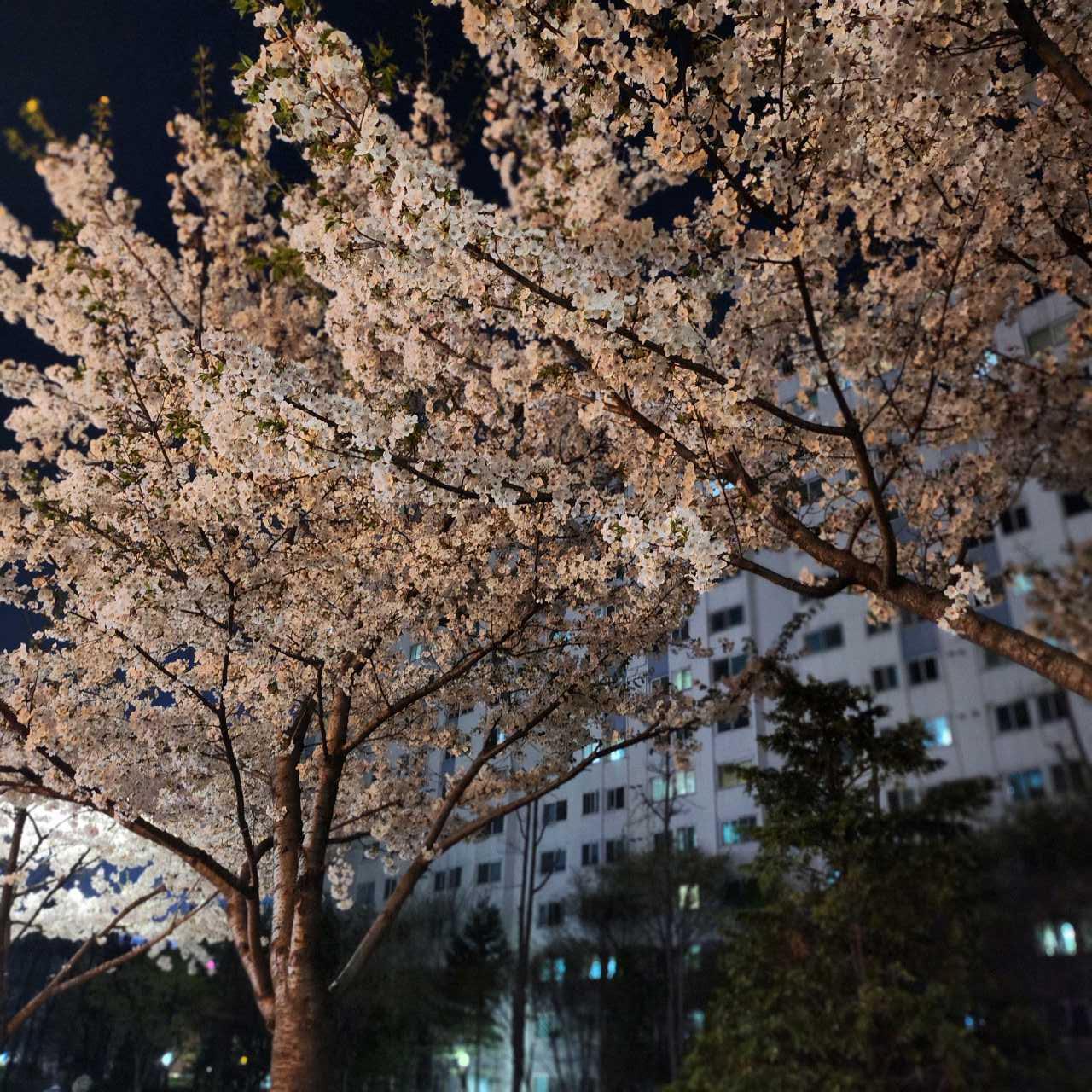 크루톡 이미지