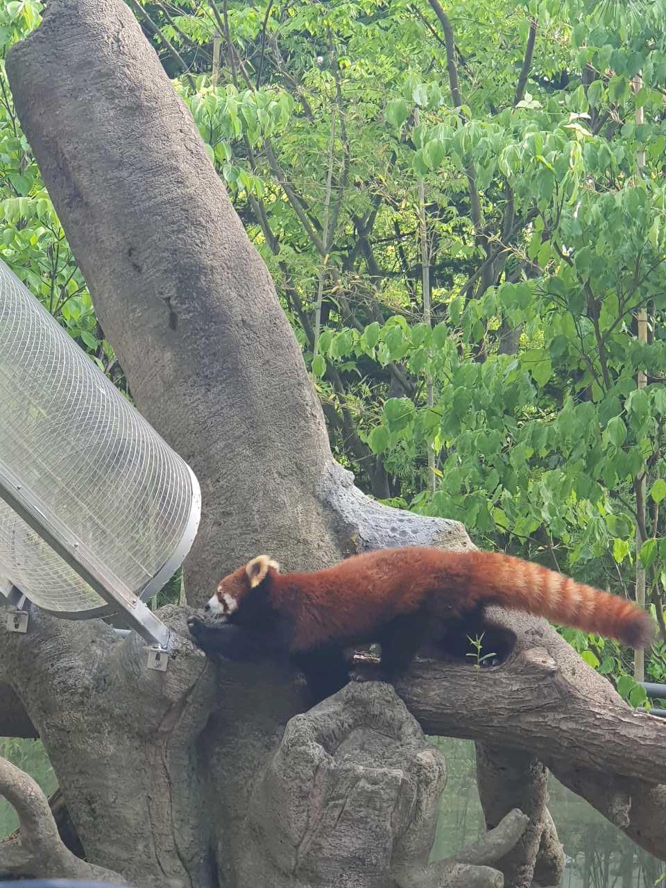 크루톡 이미지