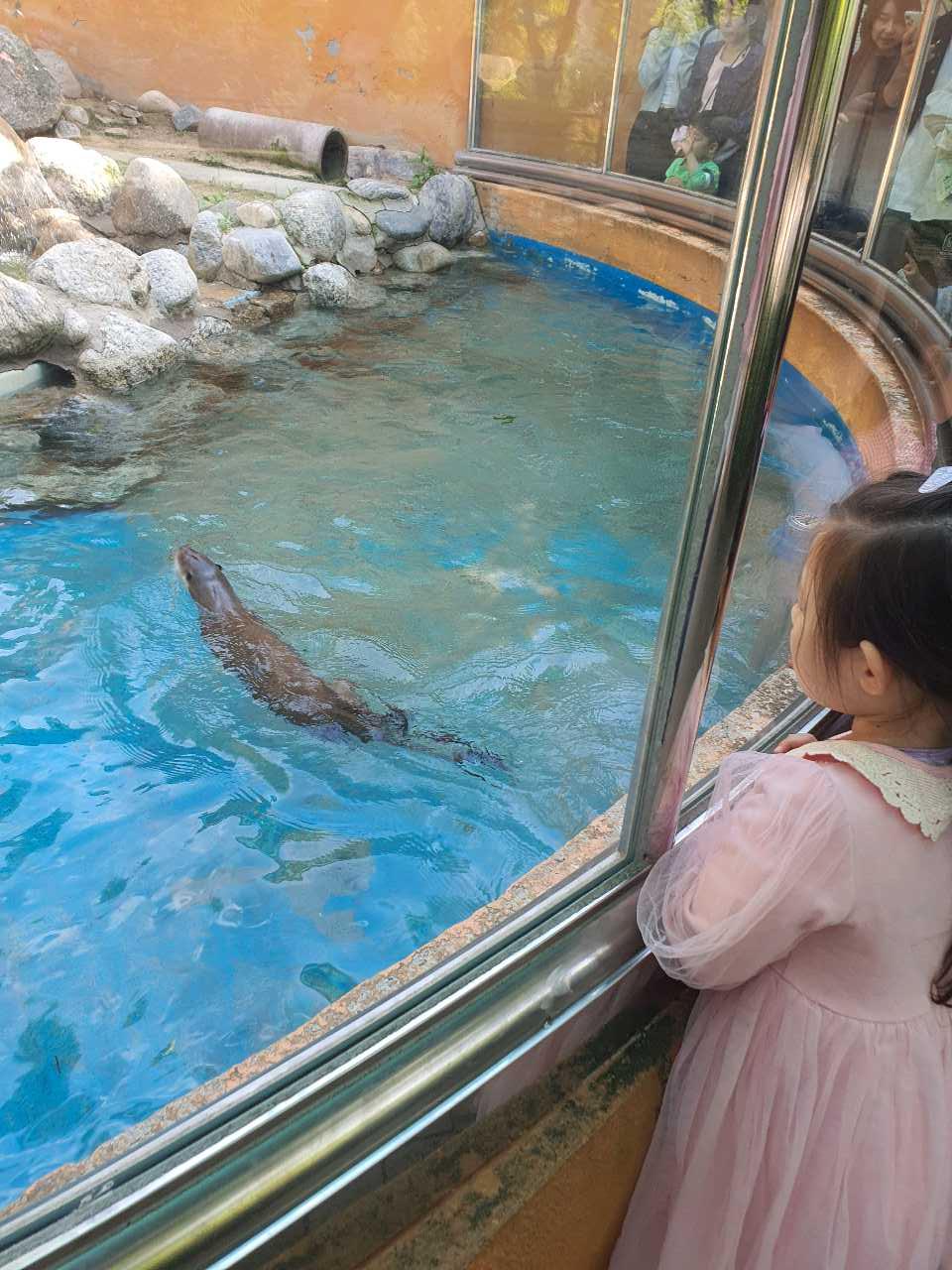 크루톡 이미지