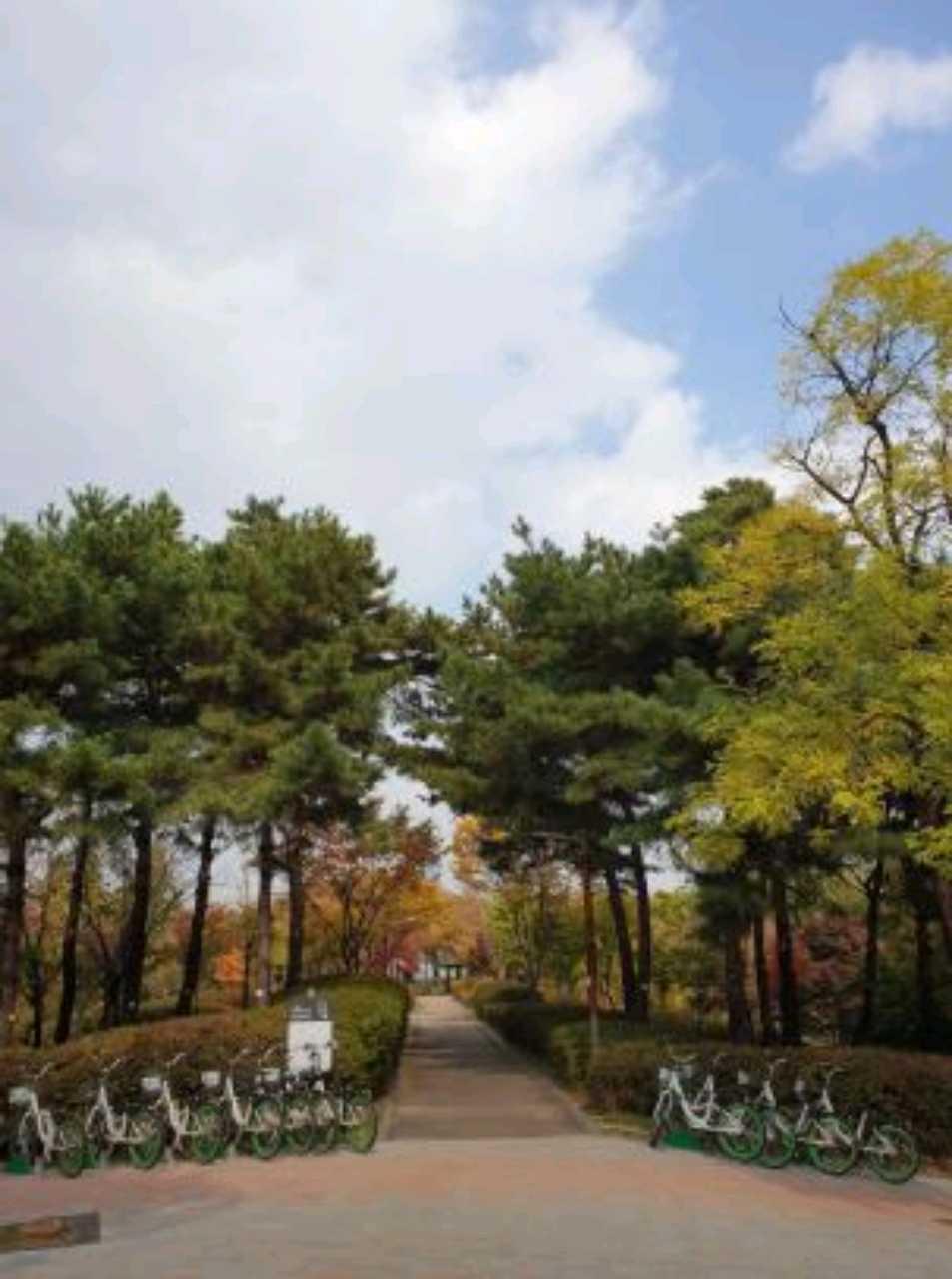 크루톡 이미지