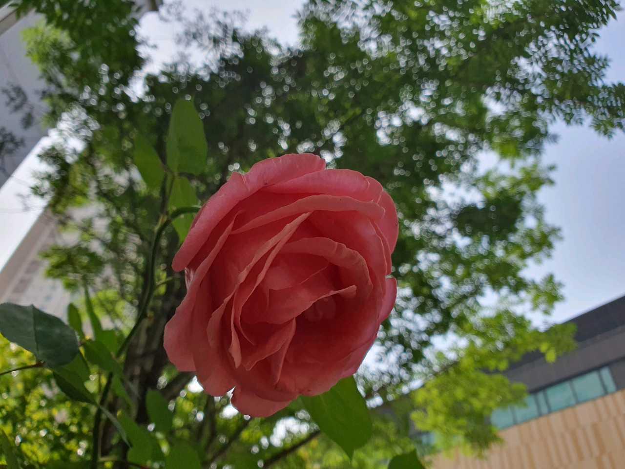 크루톡 이미지