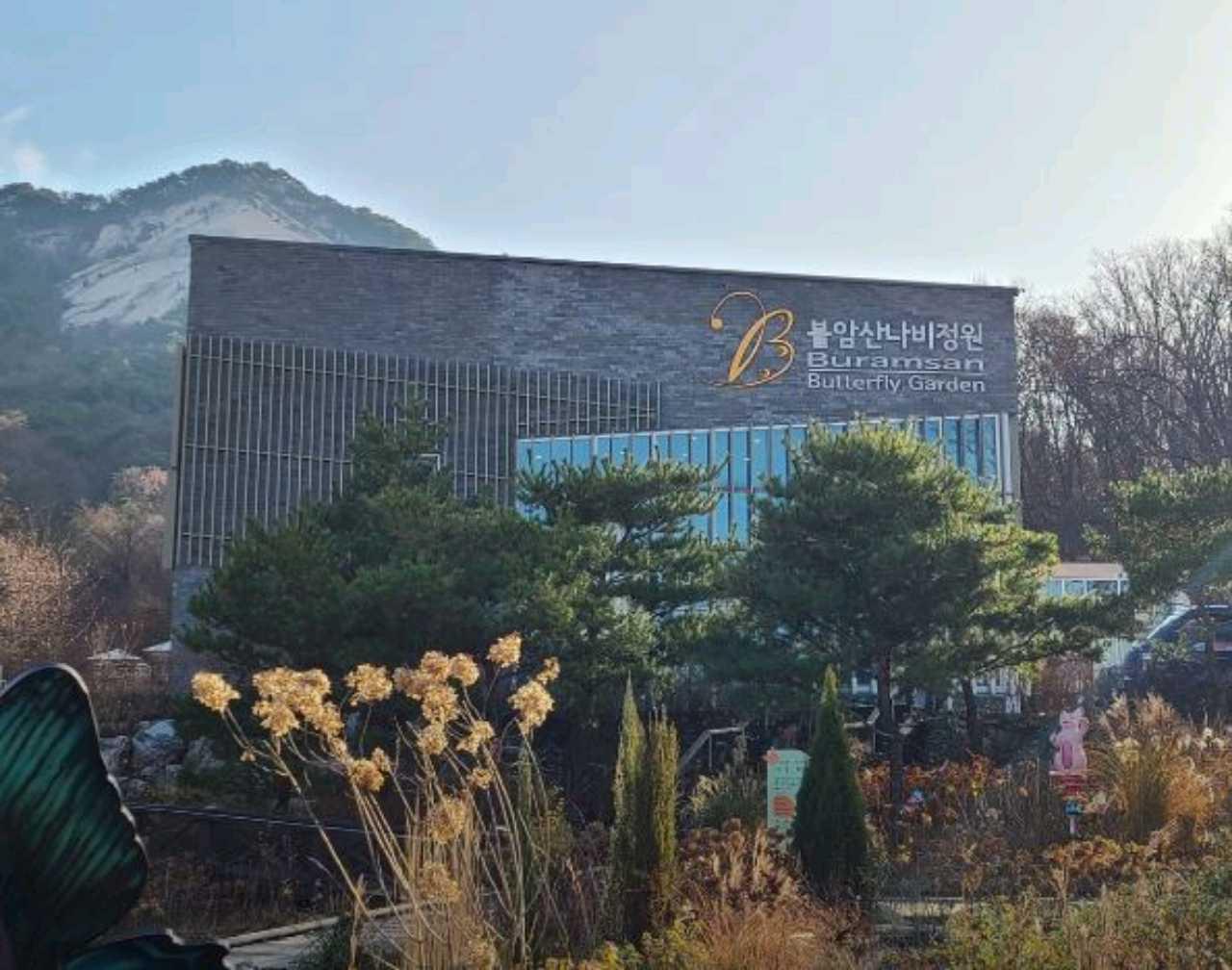 크루톡 이미지