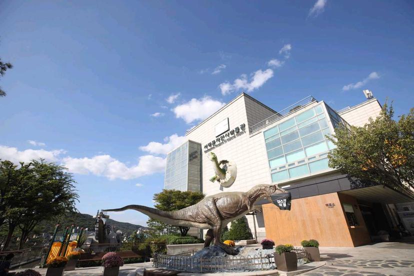 [서대문자연사박물관] 육아친구와 같이 갈 우리 동네 장소를 소개해요! 