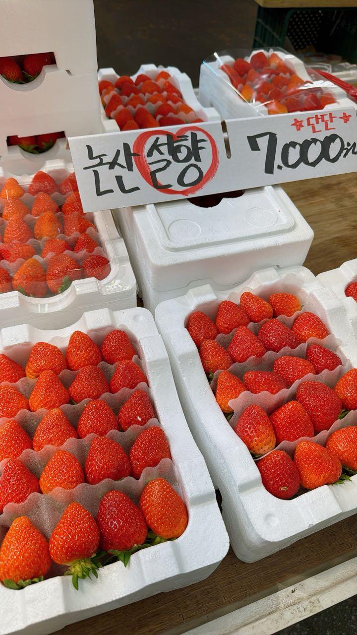 크루톡 이미지