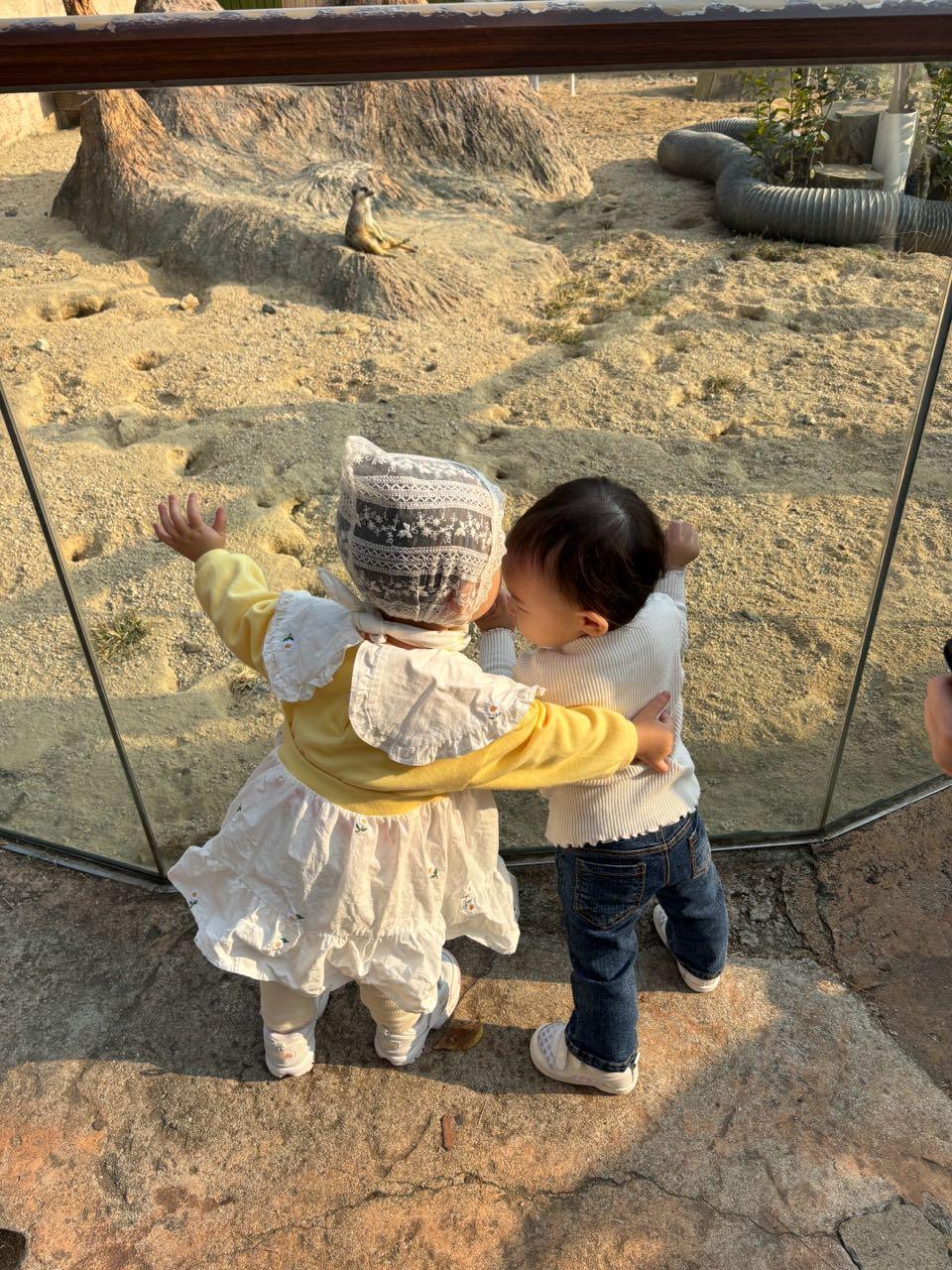 크루톡 이미지