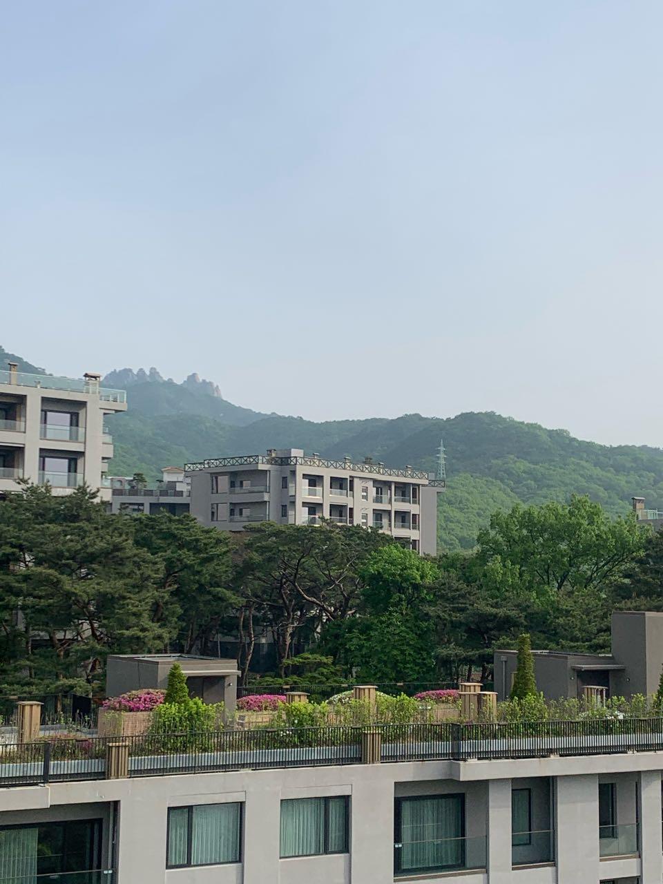크루톡 이미지 4