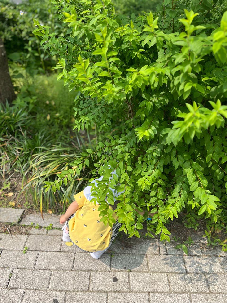크루톡 이미지