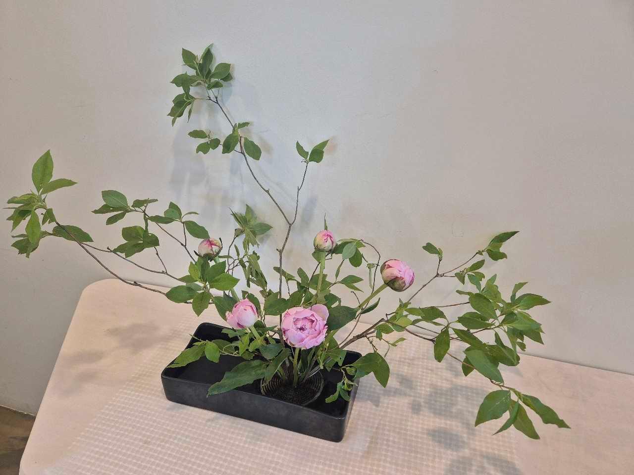 크루톡 이미지