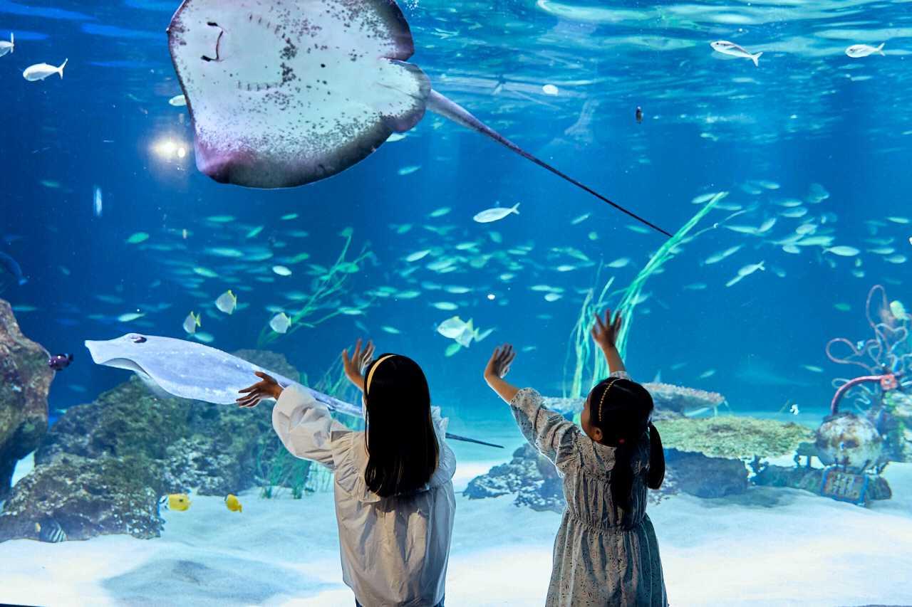 크루톡 이미지