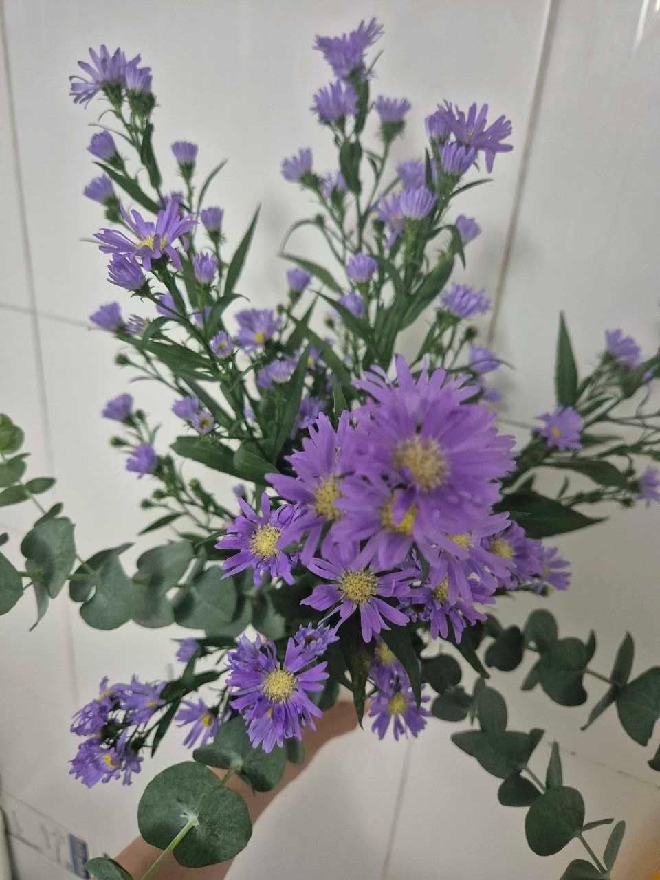 크루톡 이미지