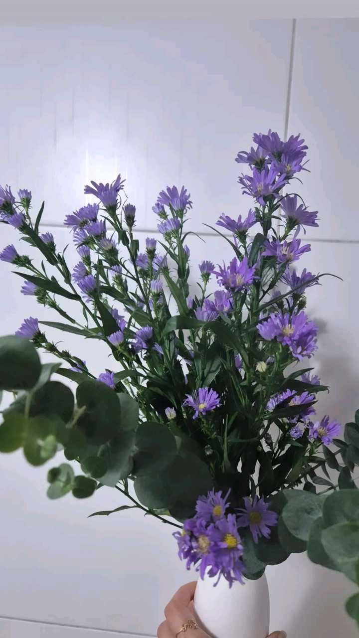 크루톡 이미지