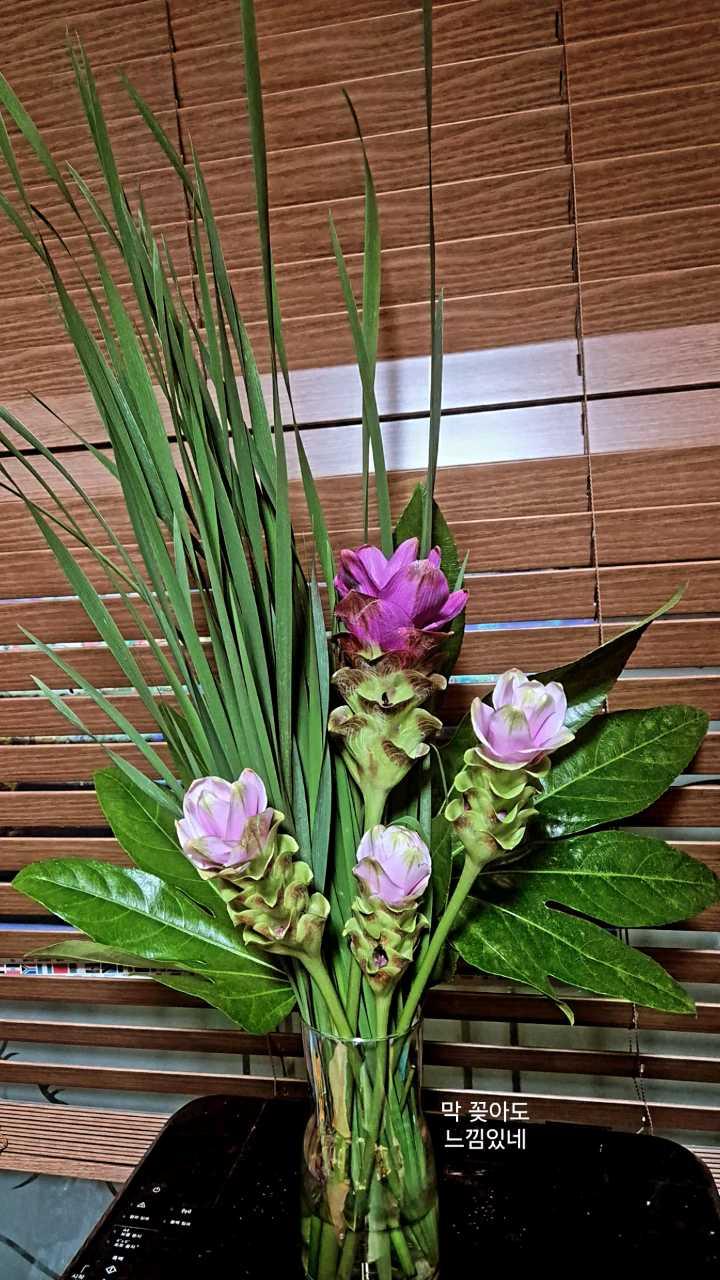 크루톡 이미지