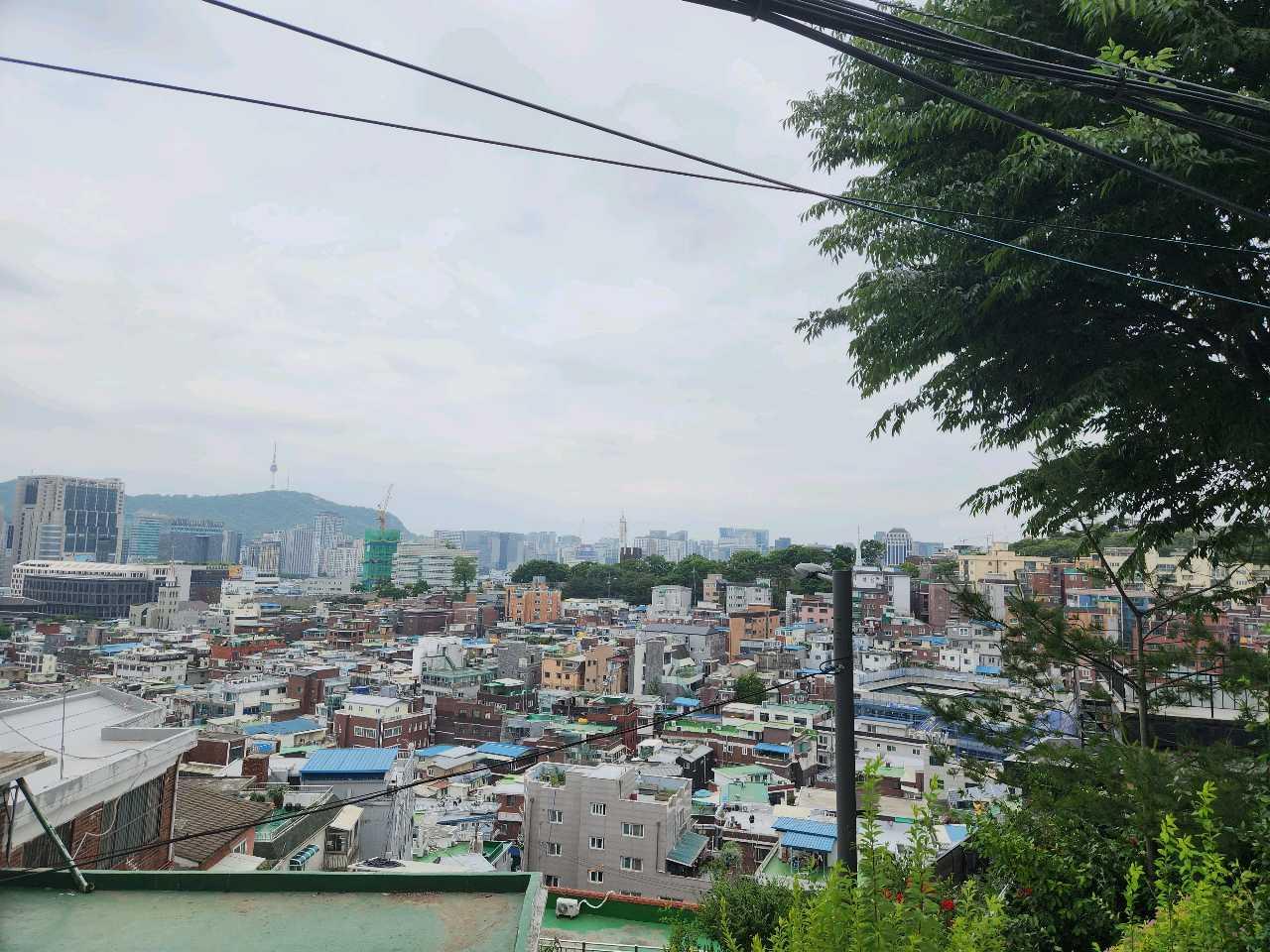 크루톡 이미지