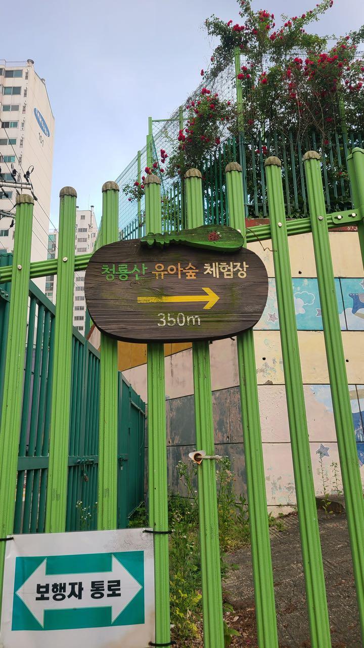 크루톡 이미지 4