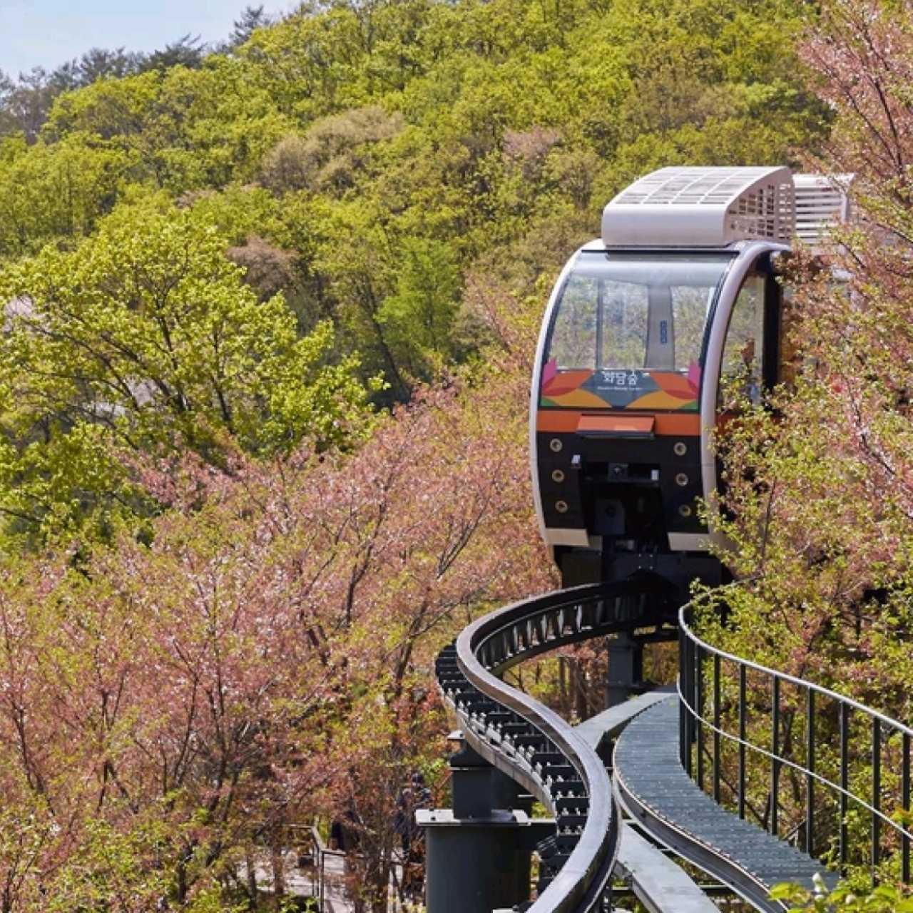 크루톡 이미지