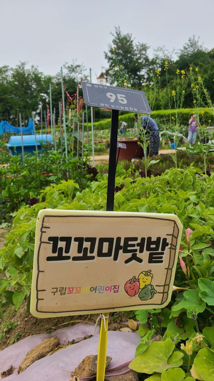 크루톡 이미지