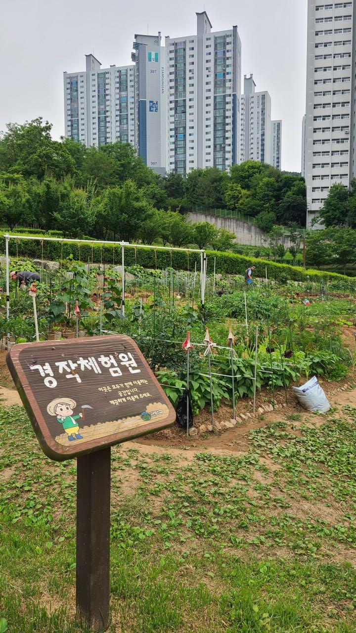 크루톡 이미지