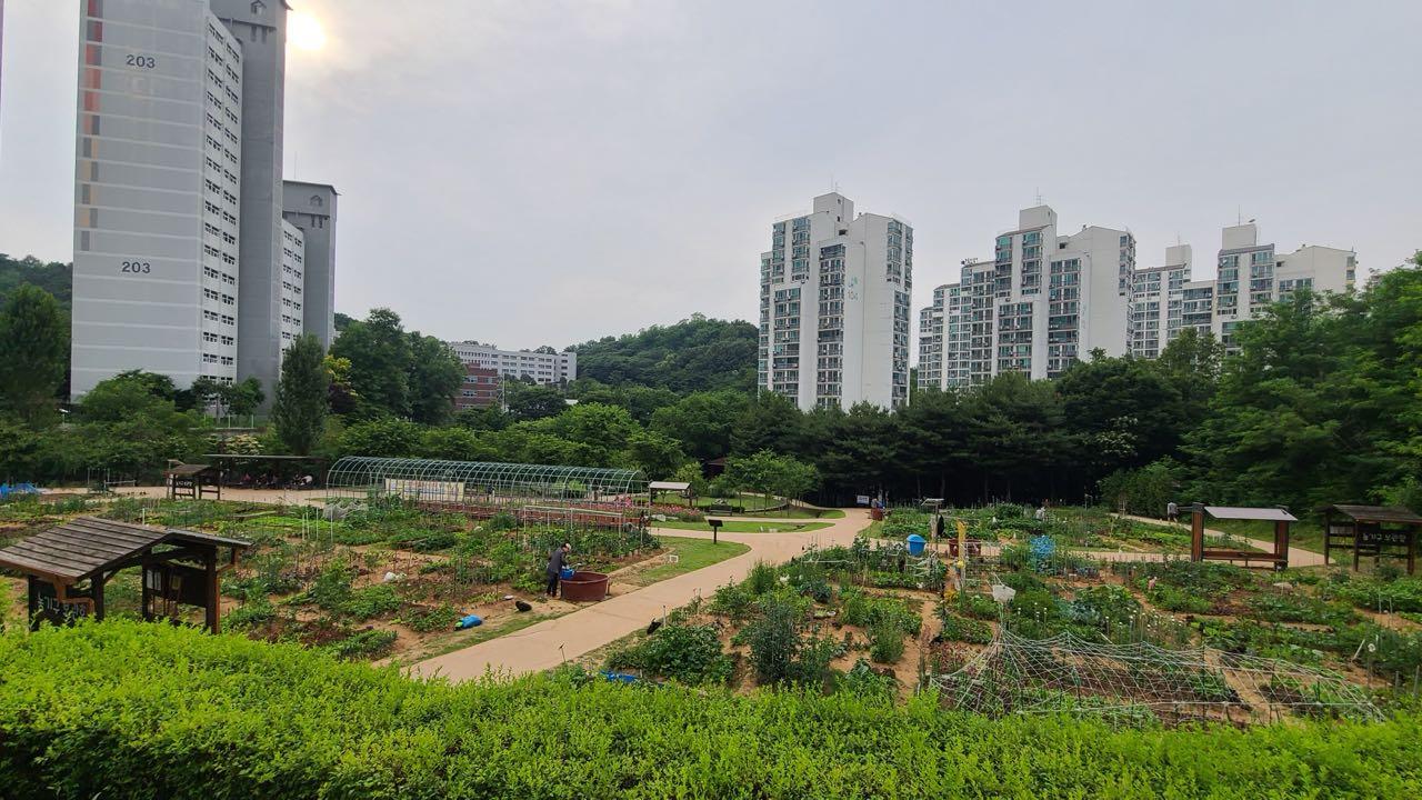 크루톡 이미지
