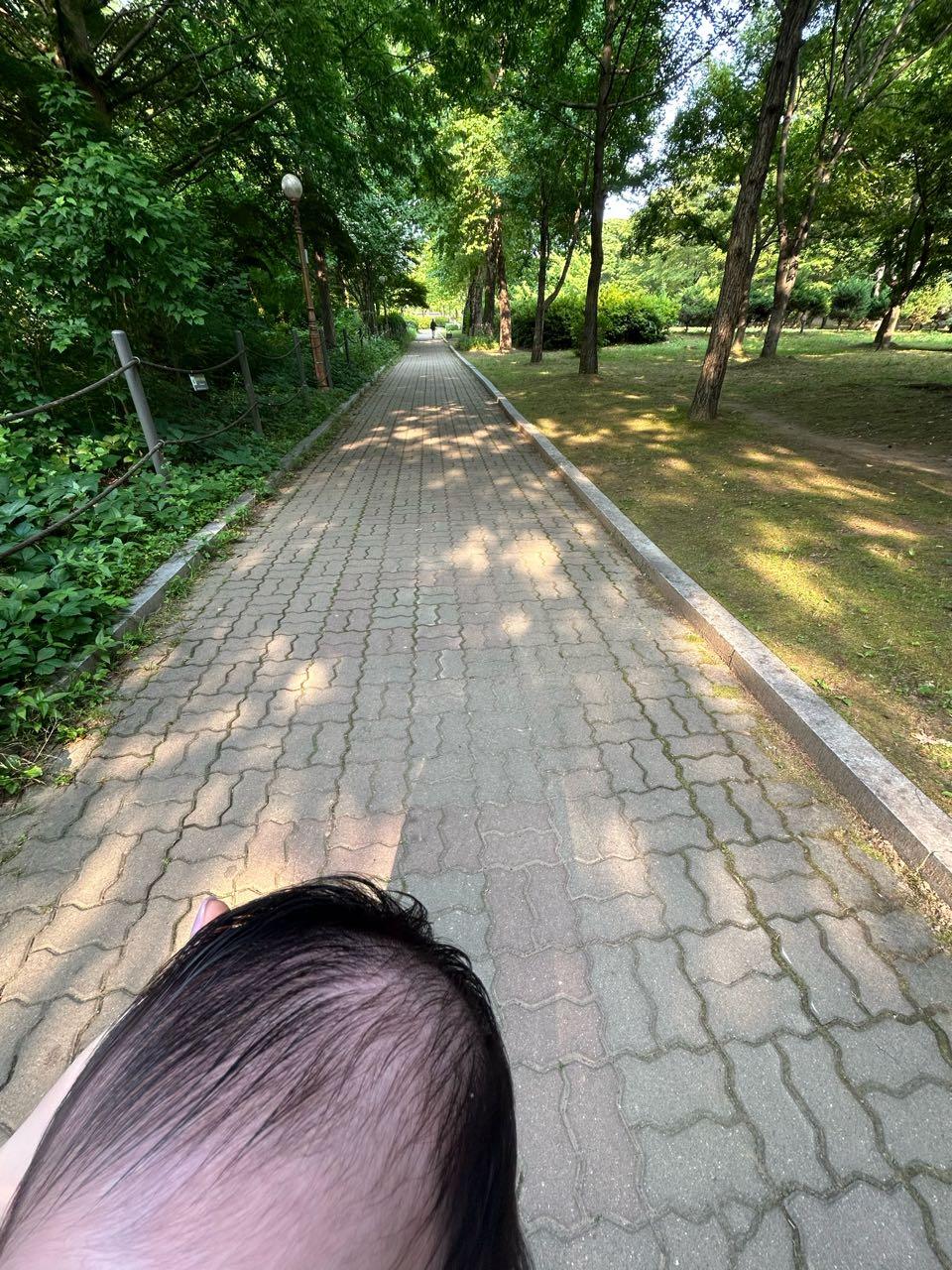 크루톡 이미지
