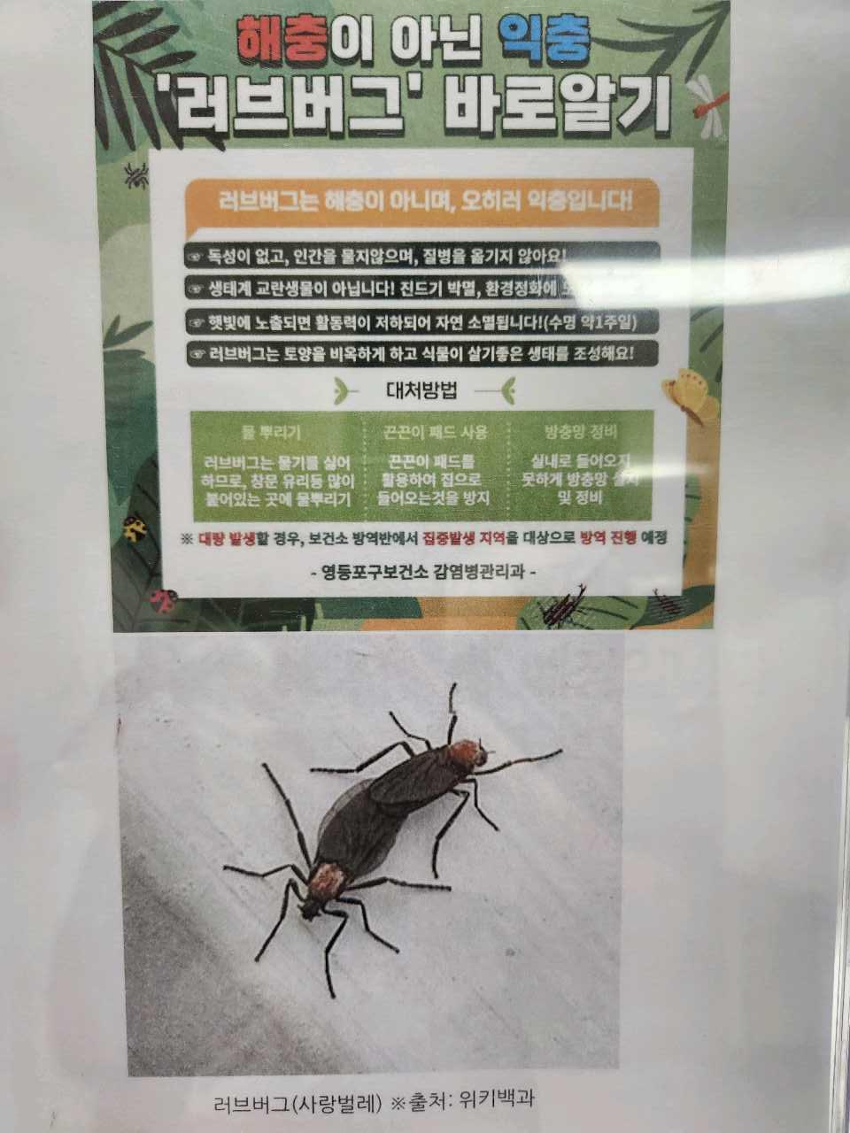 크루톡 이미지