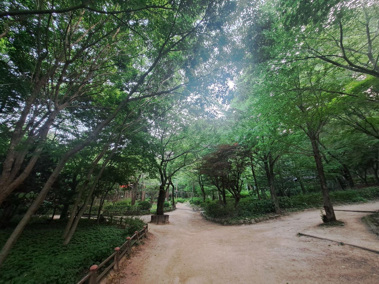 크루톡 이미지