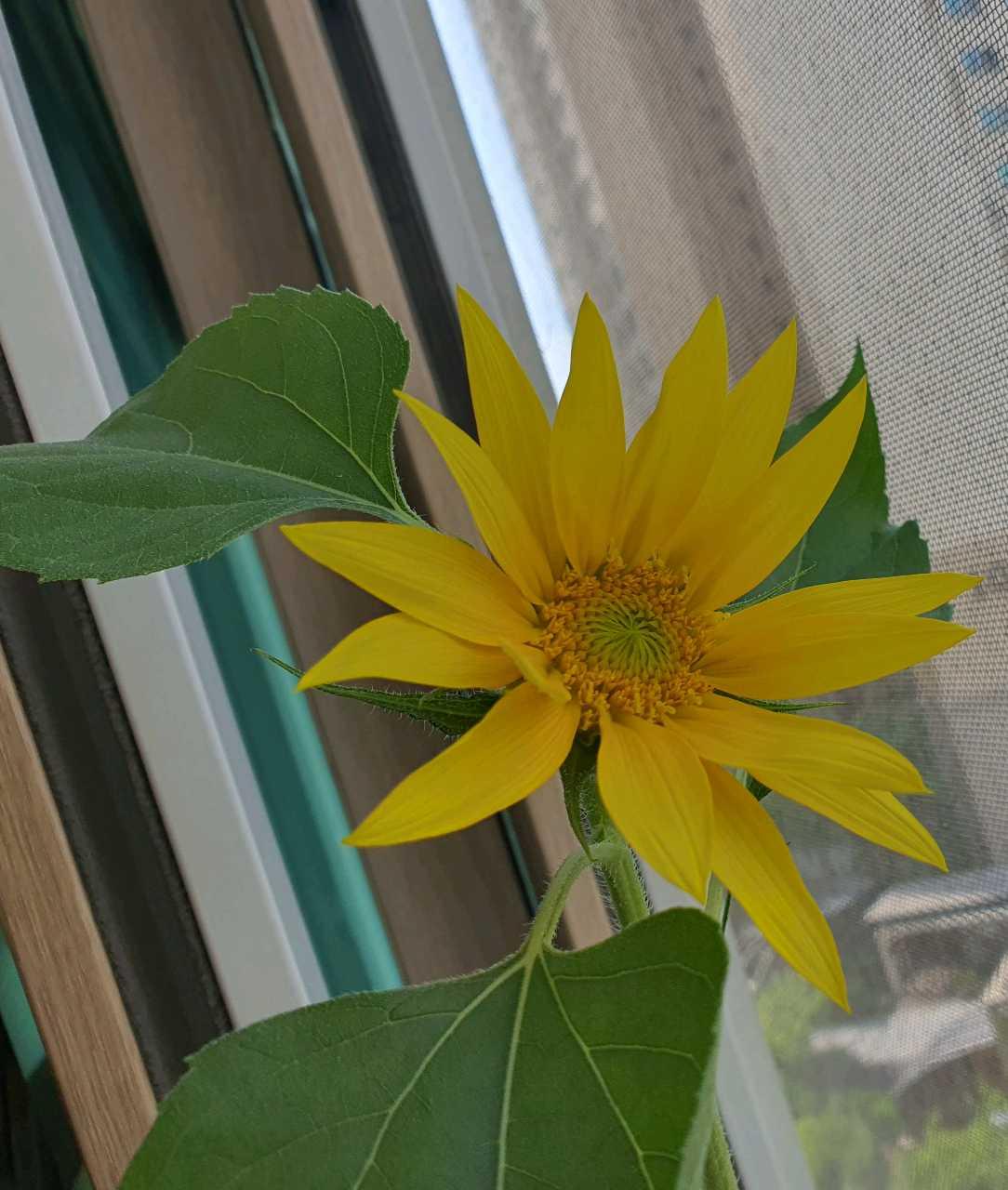 크루톡 이미지