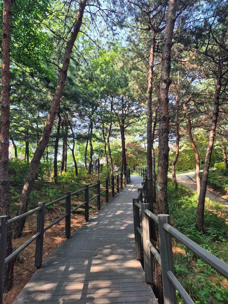 크루톡 이미지
