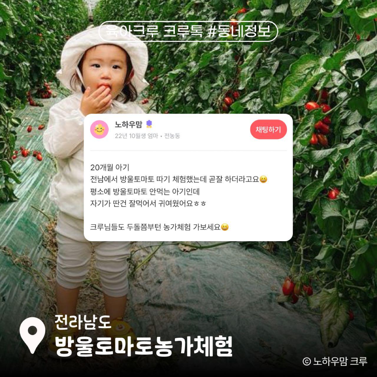 크루톡 이미지