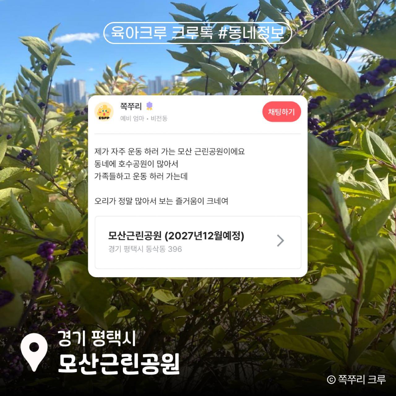 크루톡 이미지