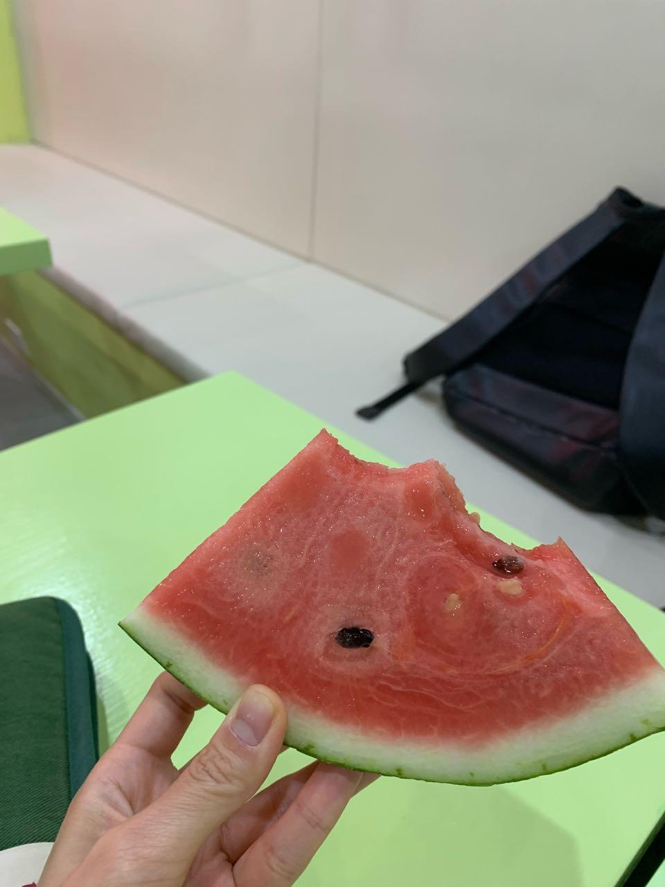크루톡 이미지