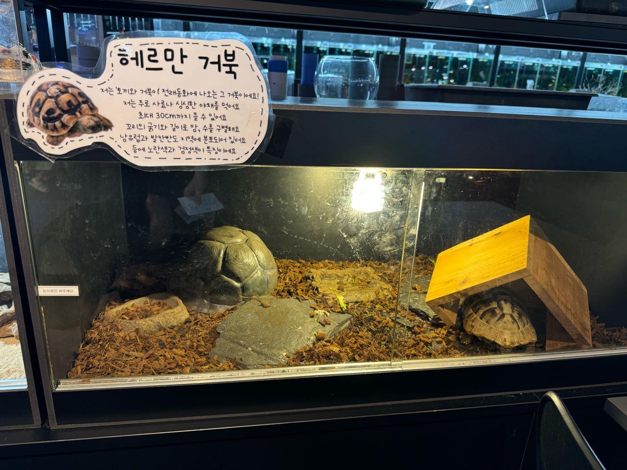 크루톡 이미지