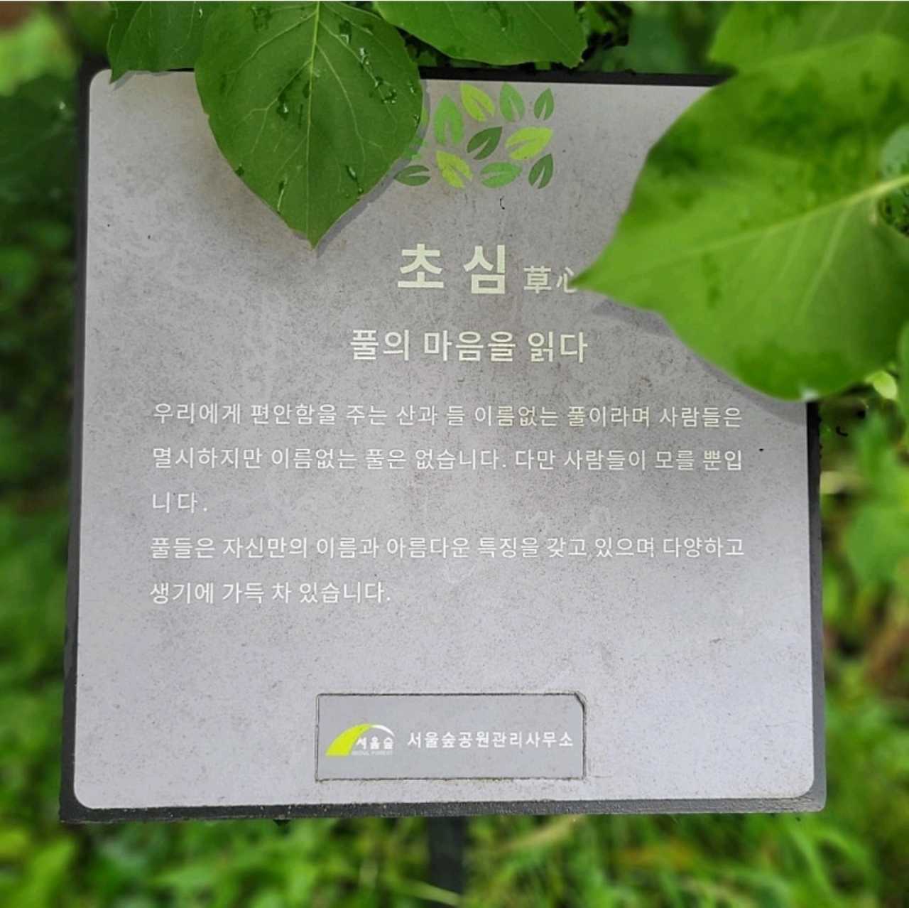 크루톡 이미지 1