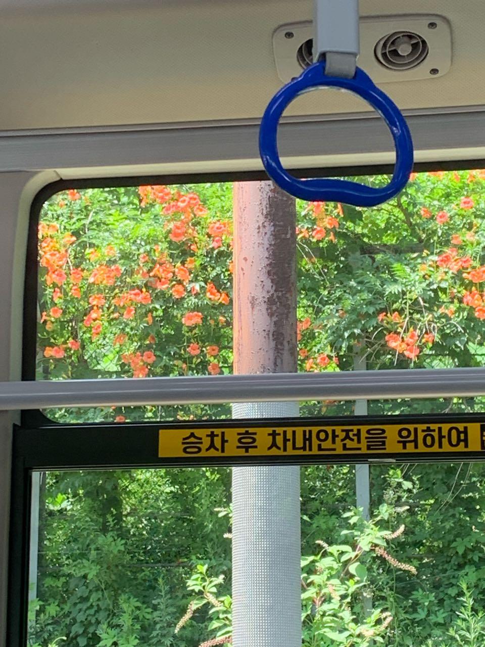 크루톡 이미지