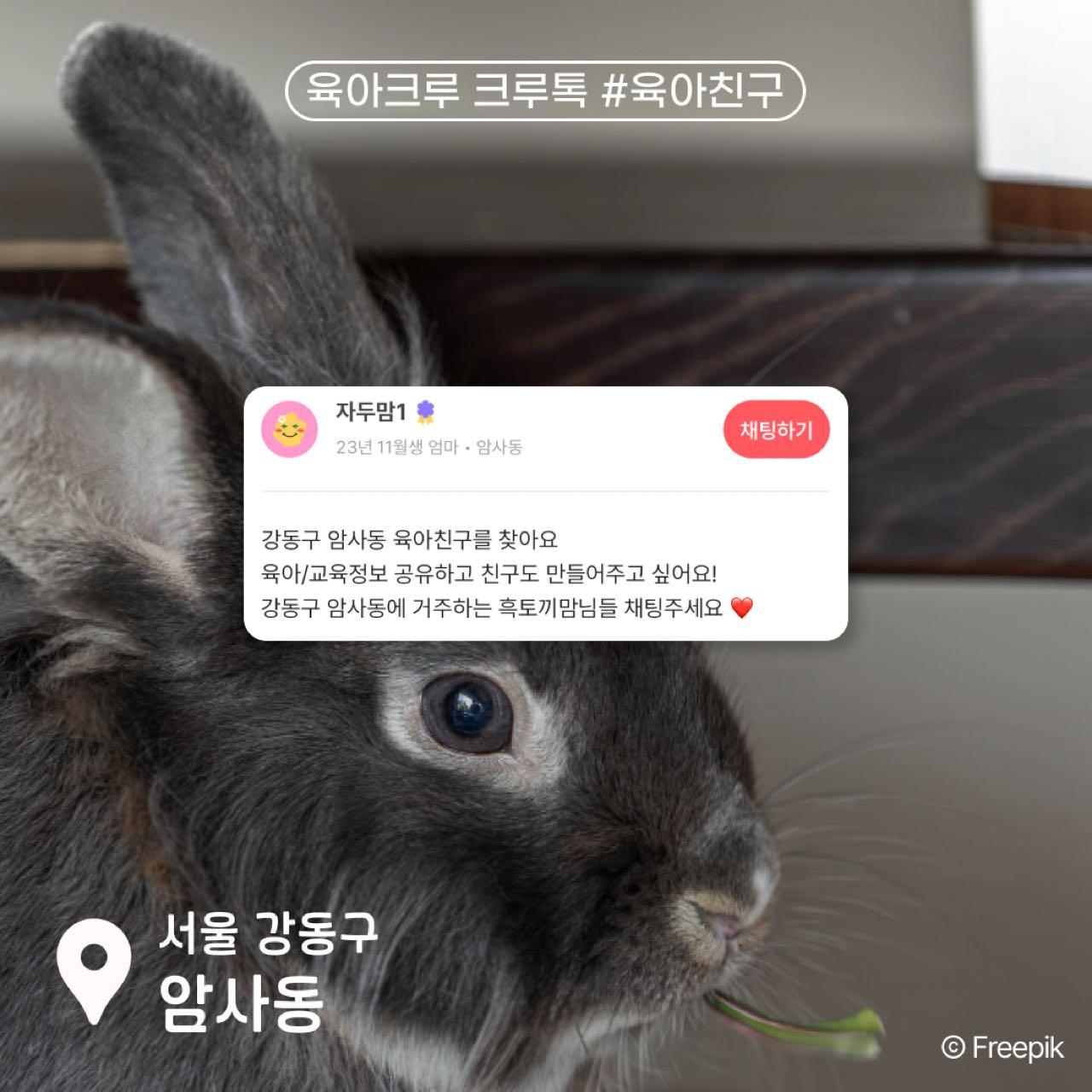 크루톡 이미지