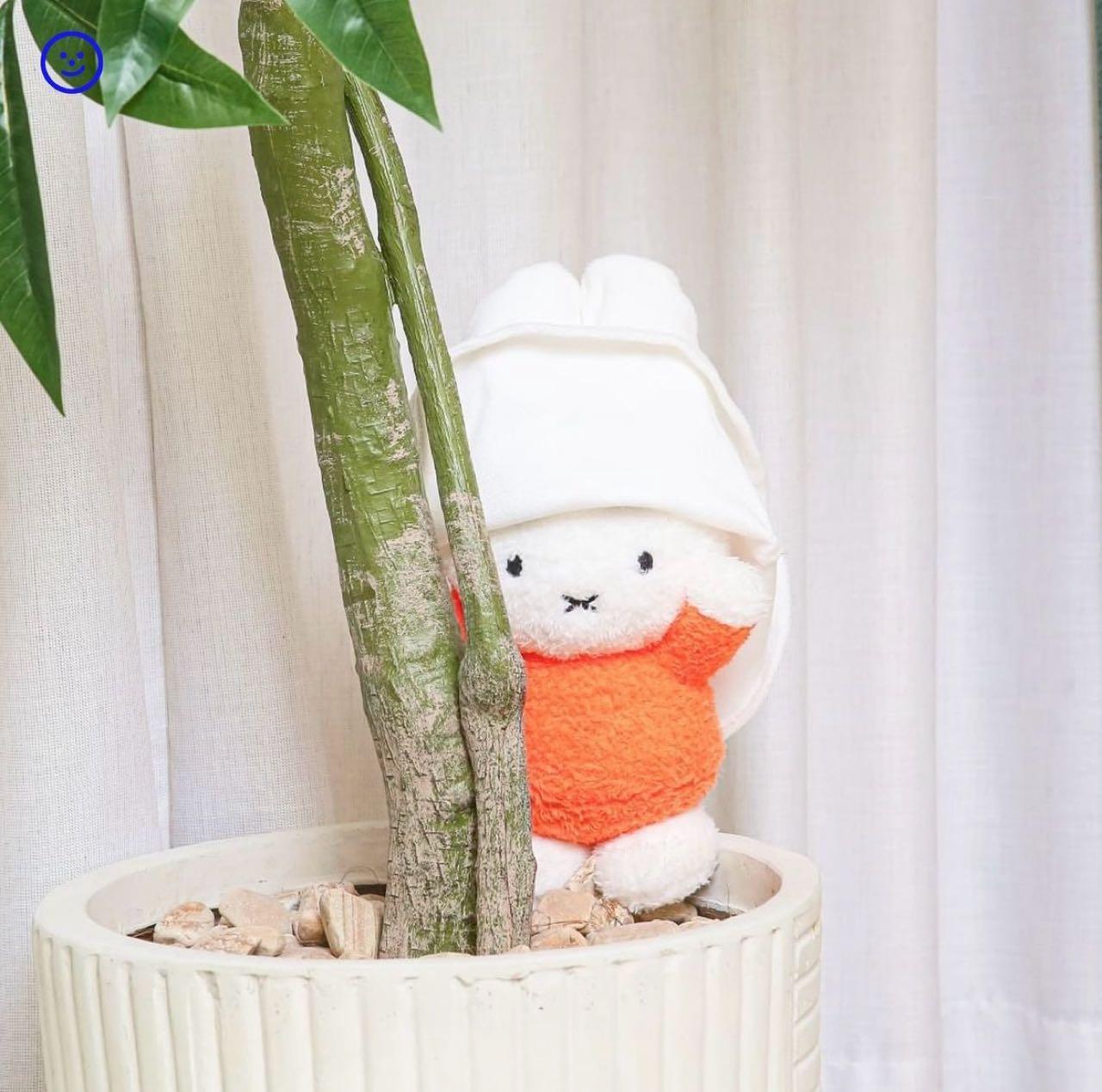 크루톡 이미지