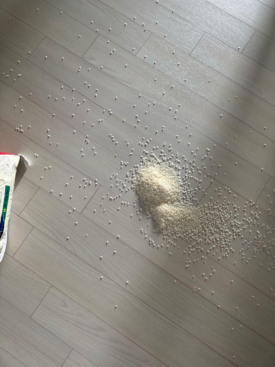크루톡 이미지