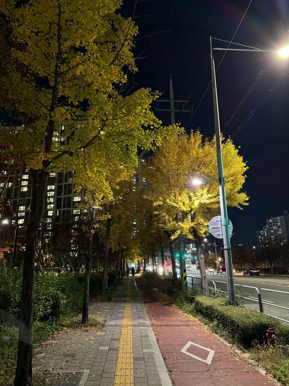 크루톡 이미지