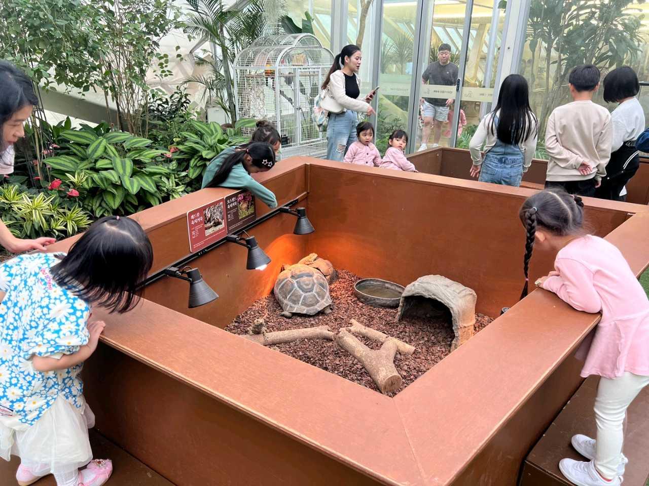 크루톡 이미지