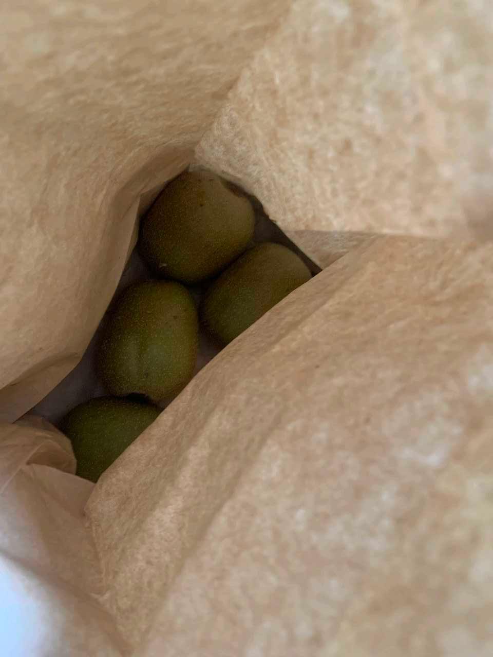 크루톡 이미지