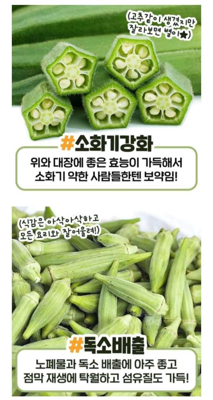 크루톡 이미지