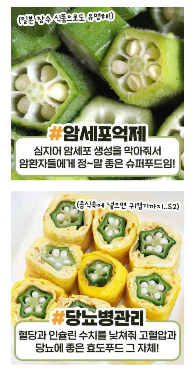 크루톡 이미지