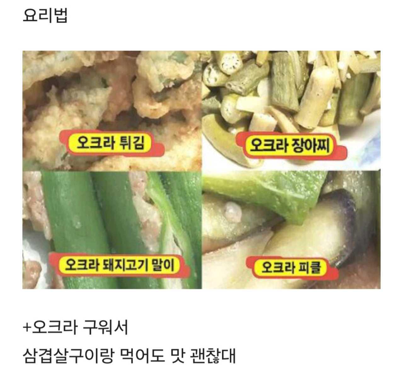 크루톡 이미지