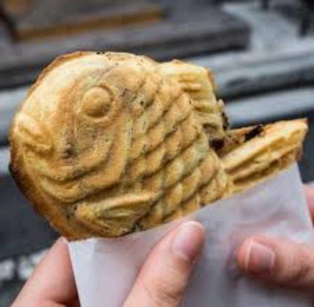 크루톡 이미지