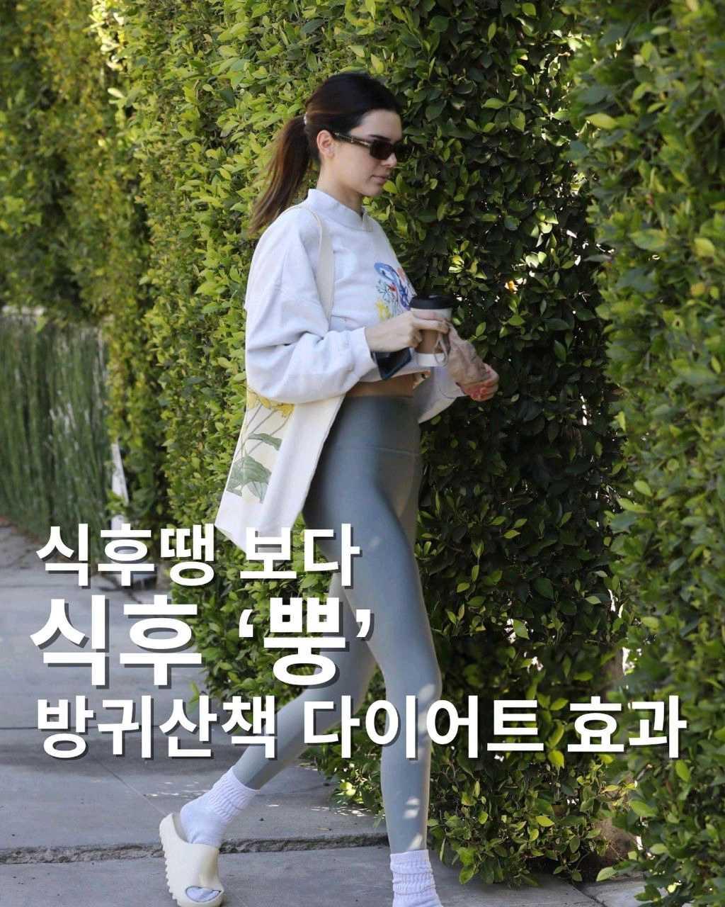 크루톡 이미지
