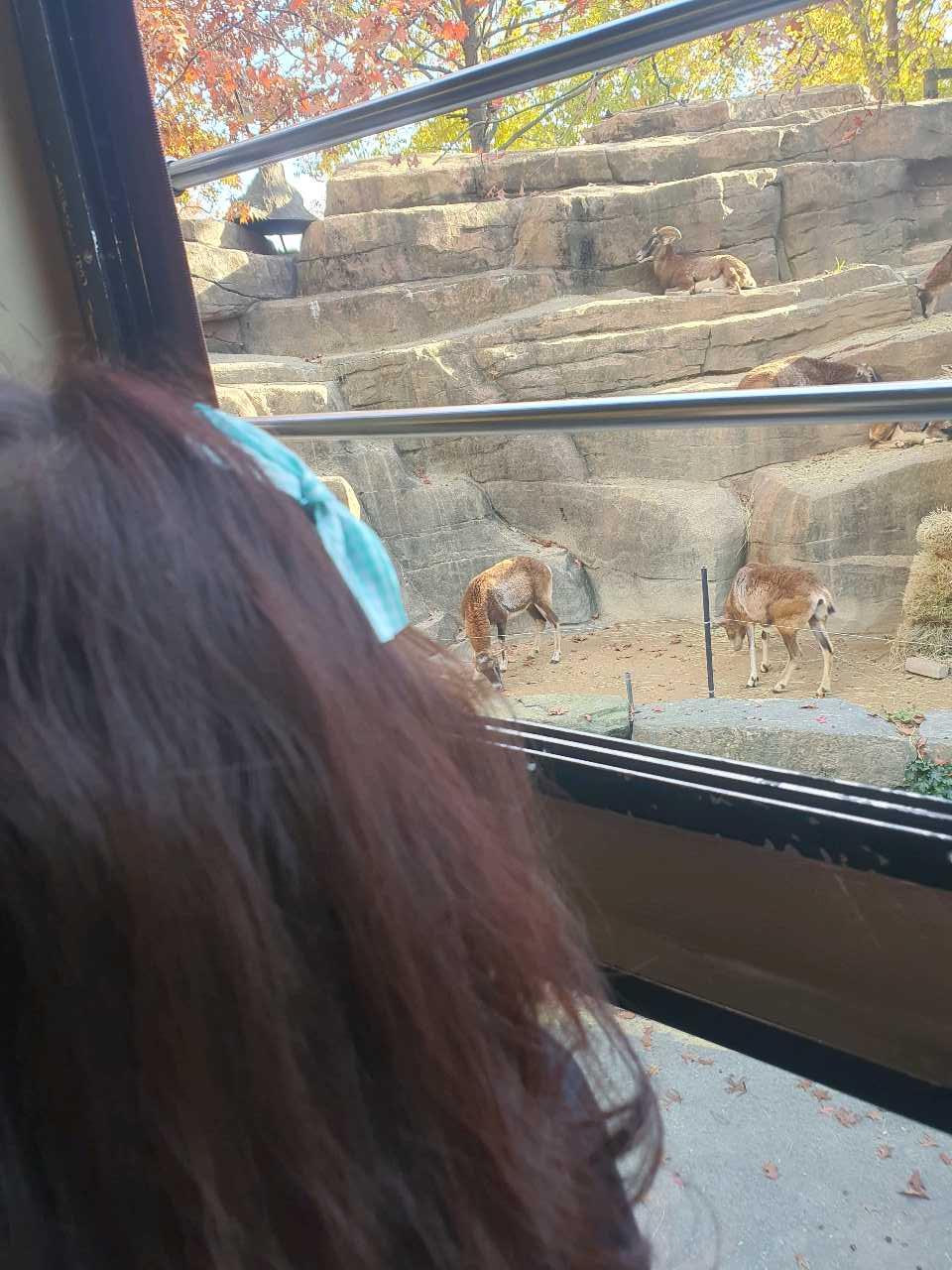 크루톡 이미지