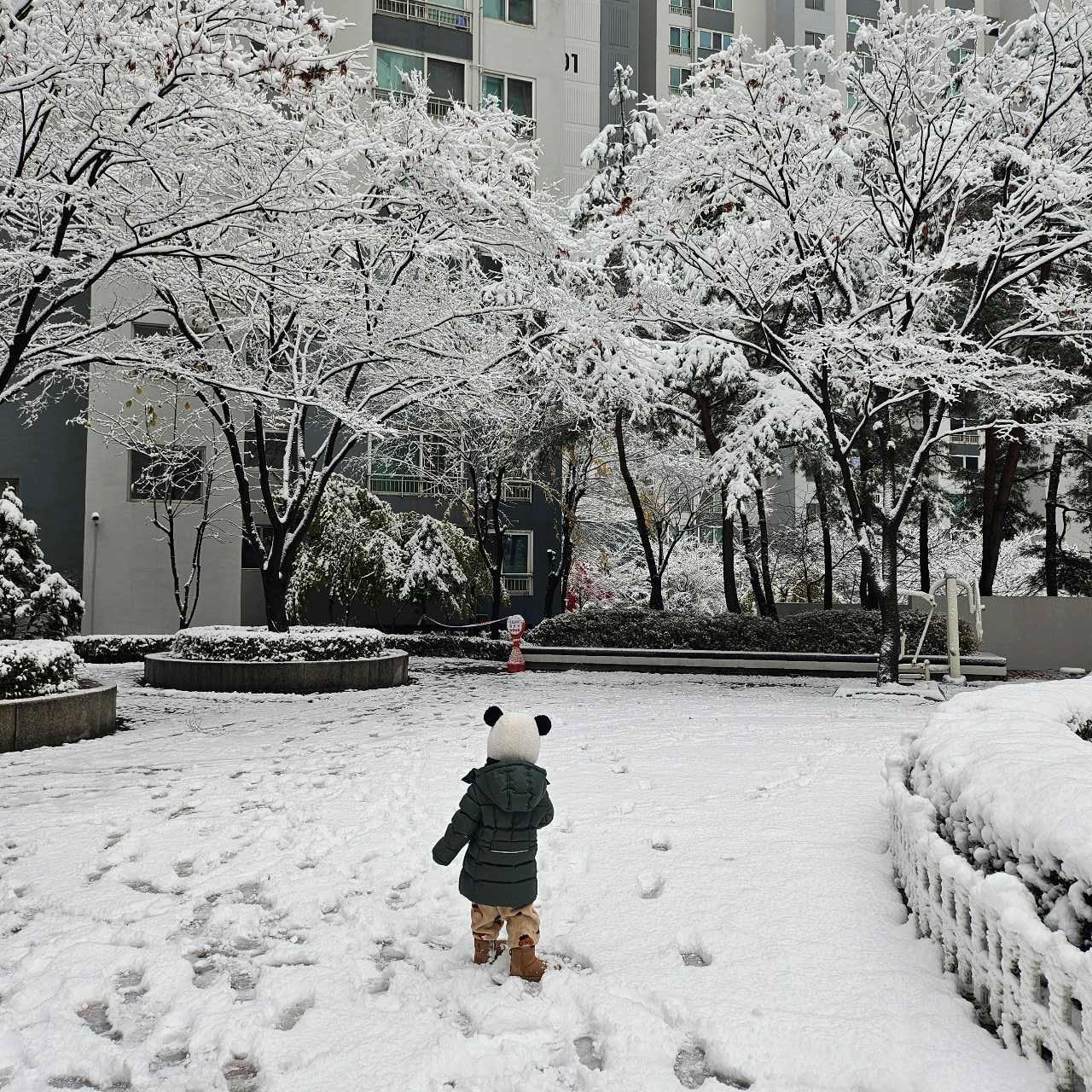 크루톡 이미지 1