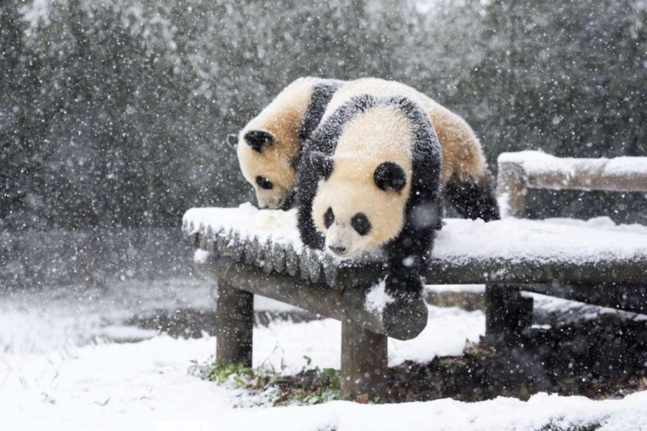 크루톡 이미지