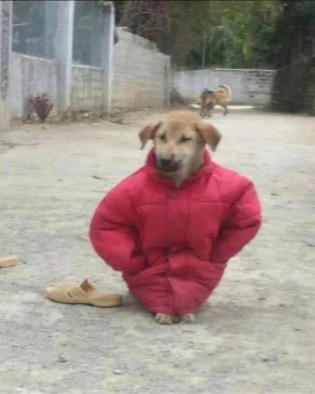 크루톡 이미지