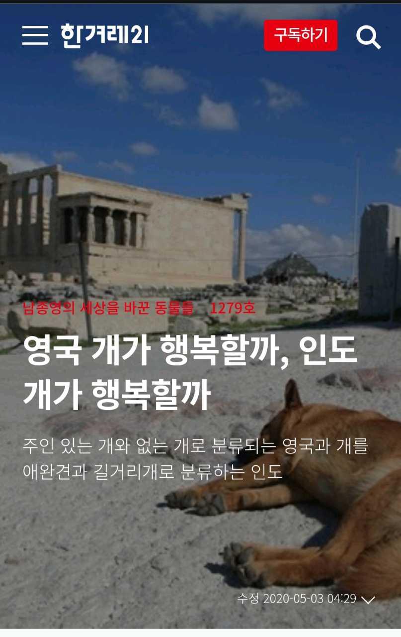 크루톡 이미지