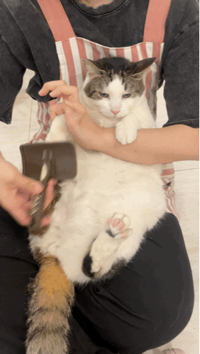 크루톡 이미지 2